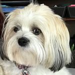 Connie Becker - @conniebecker76 - Instagram