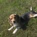 Connie Belcher - Facebook