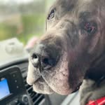 Connie Bland - @knj_mom_ - Instagram