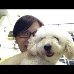 Connie BoBo - @connie_bobo1125 - Instagram