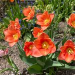 Connie Bollinger - @bollinger6227 - Instagram