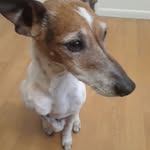 Connie Bopp - @connie.bopp - Instagram