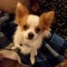 Connie Boyer - Facebook