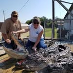 Connie Boyer Phelps - @phelpsfarm90 - Instagram