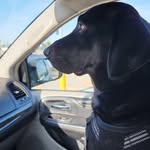 Connie S. Branson - @bransonconnie - Instagram