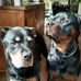 Connie Van Den Brink - Facebook