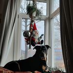 Connie Van Den Brink - @connievdbrink - Instagram