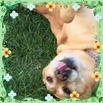 Connie Bunch - @bunchc114 - Instagram