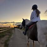 Connie Burke - @connieburke739 - Instagram