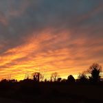 Connie Burke - @connieburke62 - Instagram