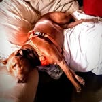 Connie Burr - @cmackburr - Instagram