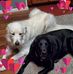 Connie Byrd - Facebook