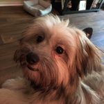 Connie Cain - @connie.cain.37266 - Instagram