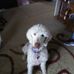 Connie Cain - Facebook