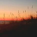 Connie Cain Flohr - @cainflohr - Instagram