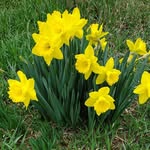 Connie Miller Carpenter - @connie.carpenter.186 - Instagram