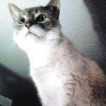 Connie Case - @connie.case.9083 - Instagram
