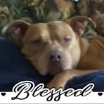 Connie Case - Facebook