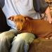 Connie Causey - Facebook