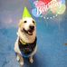 Connie Cecil - Facebook