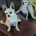 Connie Cecil - Facebook