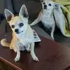 conniececil55 - @conniececil55 - TikTok