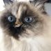 Connie Charron - Facebook