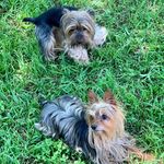 Connie Cole - @conniecole45 - Instagram