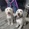 Connie Cole - @connie.cole28 - TikTok