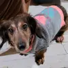 Connie Cole - @connie.cole - TikTok