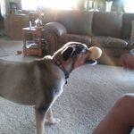 connie conley - @clconley45 - Instagram
