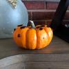 connie_conley - @connie_conley - TikTok