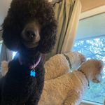 Connie Conley Hudson - @morley.mac.yogi - Instagram