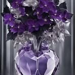 Connie Cooley - Facebook