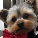 Connie Costa - @conniecosta7 - Instagram