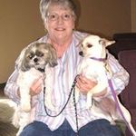 Connie Crow - @conniecrow1949 - Instagram