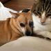 Connie Crow - Facebook