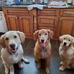Connie Cummings - Facebook