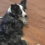 Connie Cummings - @pookie5427 - Instagram