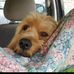 Connie Cunningham - Facebook