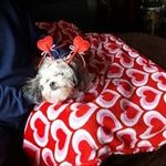 Connie Lish Cunningham - @connie.cunningham.94617 - Instagram