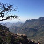 Connie Davidson - @conniedavidson - Instagram
