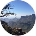 Connie Davidson - @conniedavidson009 - Instagram