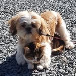 Connie Davidson - @conniedavidson57 - Instagram