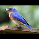 Connie Davison - @crazyconnie666 - Instagram