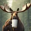 Connie Davison - @connie.davison8 - TikTok