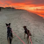 Connie Jo Dearman - @connie_dearman - Instagram