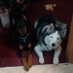 Connie Dennison - Facebook