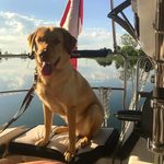 Connie Dickson - @cdickson333 - Instagram