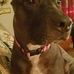 Connie Studley Dobson - Facebook